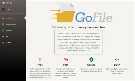 temporary online storage|file.io .